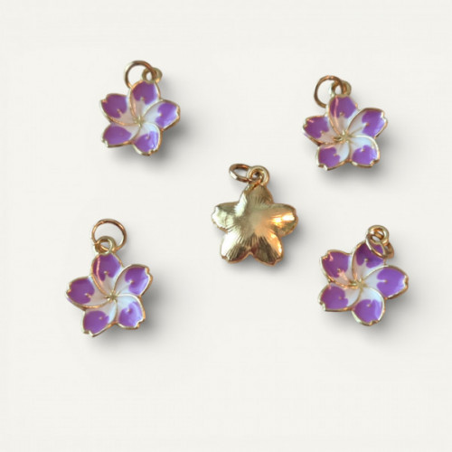 IMG_20260207_015143 (12).jpg